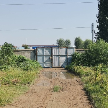 大院内有围栏林地出租养鸡鸭鹅，水电住房齐全