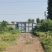 大院内有围栏林地出租养鸡鸭鹅，水电住房齐全