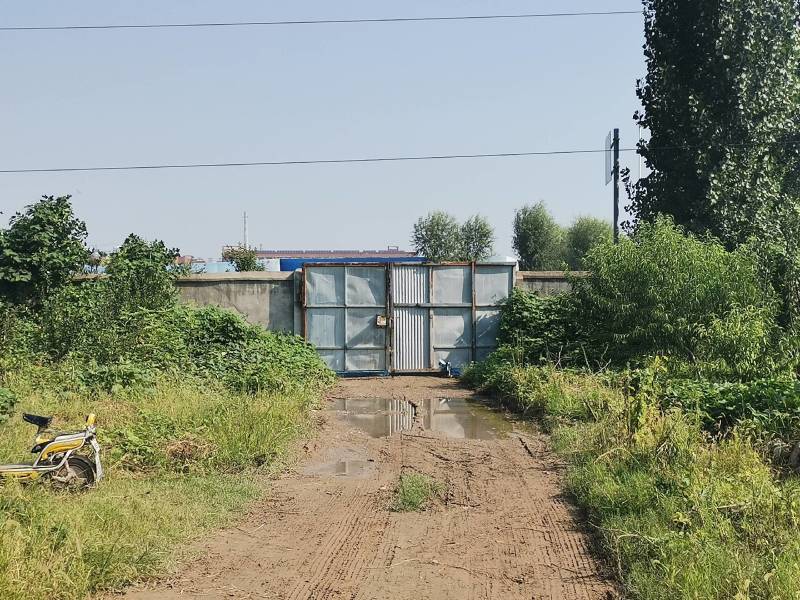 大院内有围栏林地出租养鸡鸭鹅，水电住房齐全