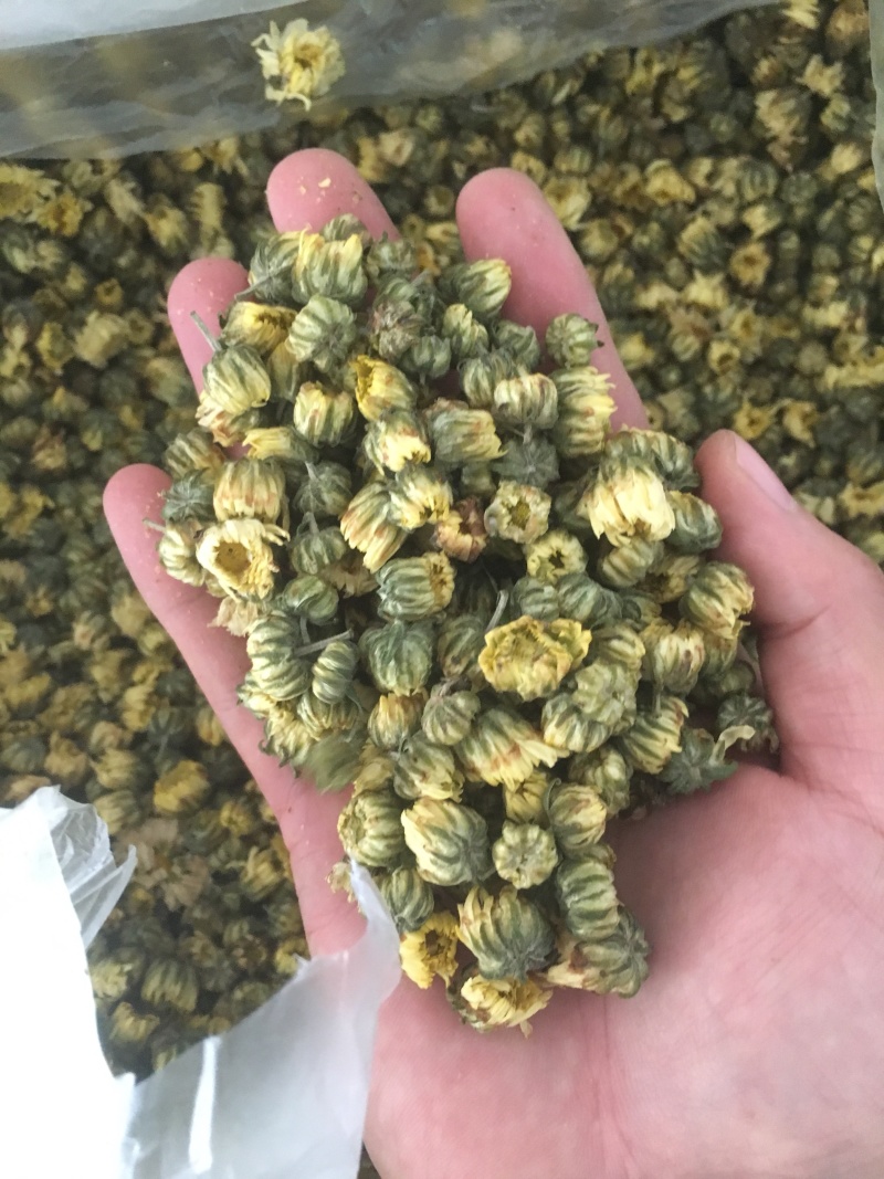 苏北菊胎菊大货每件10公斤质量中等产地直供批发价