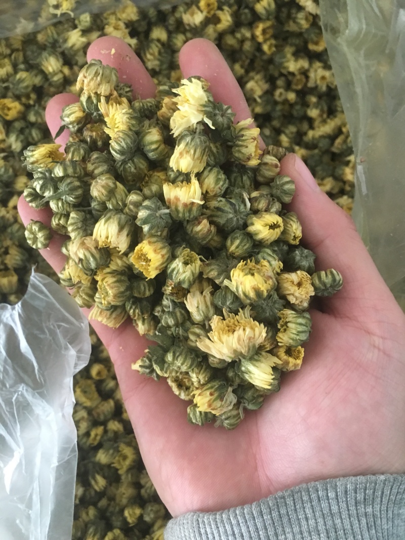 苏北菊胎菊大货每件10公斤质量中等产地直供批发价