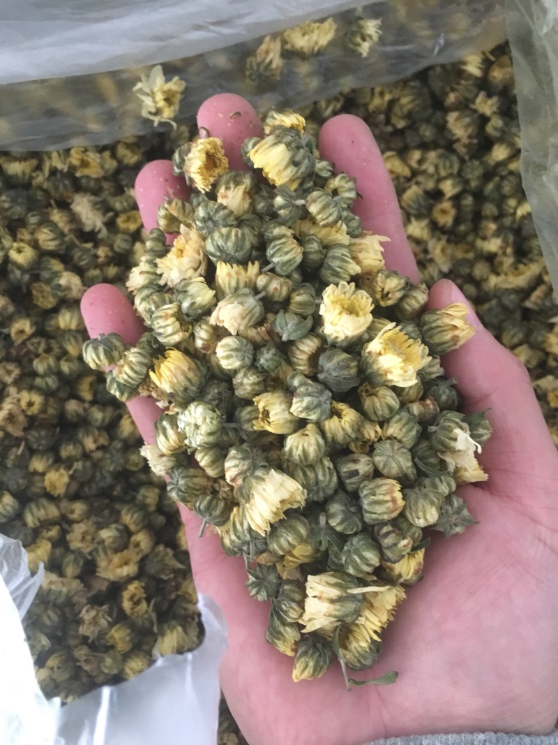 苏北菊胎菊大货每件10公斤质量中等产地直供批发价