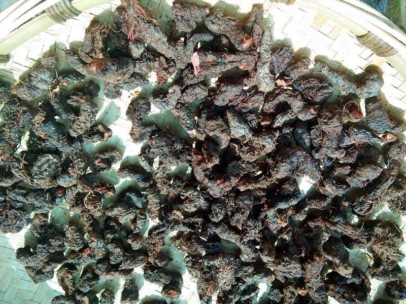 拳参草河车紫参化骨莲虾参中药材拳参红蚤休