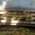 百花蜜自己家果园养的中蜂百花蜜蜂蜜蜜糖原蜜无添加剂
