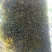 百花蜜自己家果园养的中蜂百花蜜蜂蜜蜜糖原蜜无添加剂