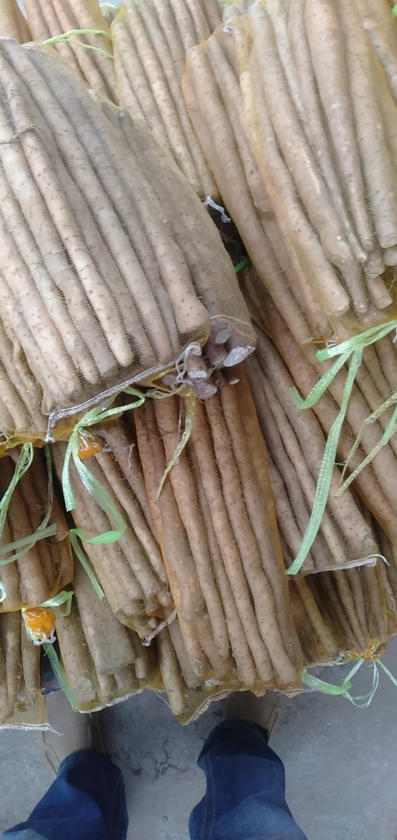 【精品小白嘴山药】河北山药产地货源规格齐全山药