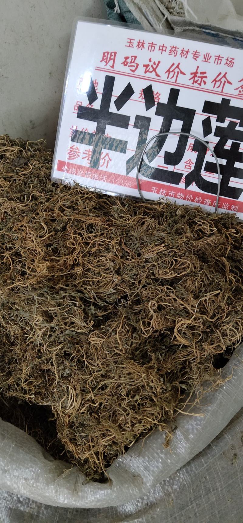 半边莲野生中药材半边莲半边连半边菊细米草足干