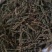 振兴药材批发荆芥穗产地直销常年大货荆芥穗