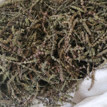 振兴药材批发荆芥穗产地直销常年大货荆芥穗