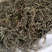 振兴药材批发荆芥穗产地直销常年大货荆芥穗