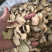 穿山龙【包邮】三斤起发货可批量可零售量大从优