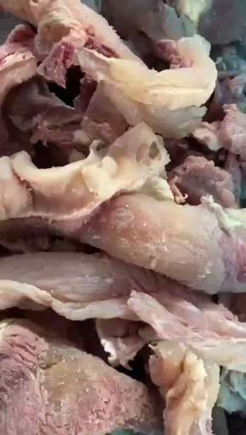 清真食材牛肉筋质量好品质值得信赖