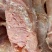 清真食材牛肉筋质量好品质值得信赖