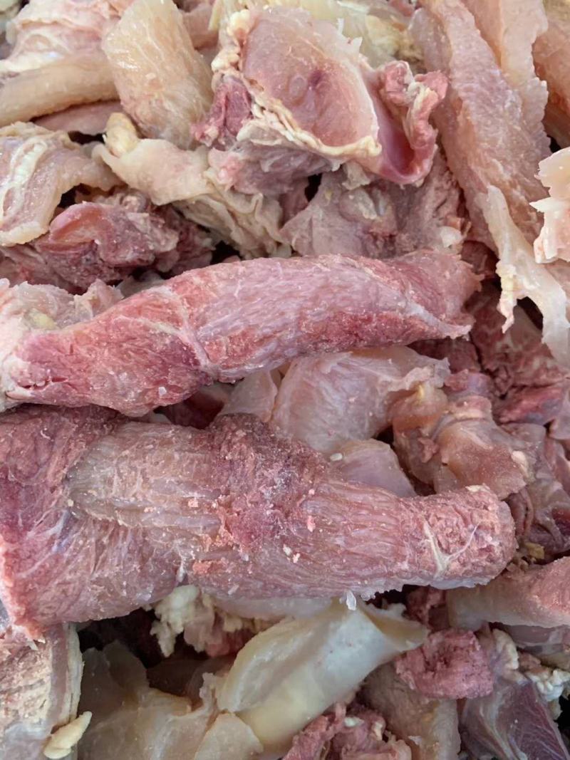清真食材牛肉筋质量好品质值得信赖