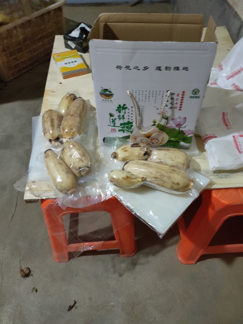 黄河滩区的沙土地，黄河水灌溉的藕特点就是大白脆，线条美观
