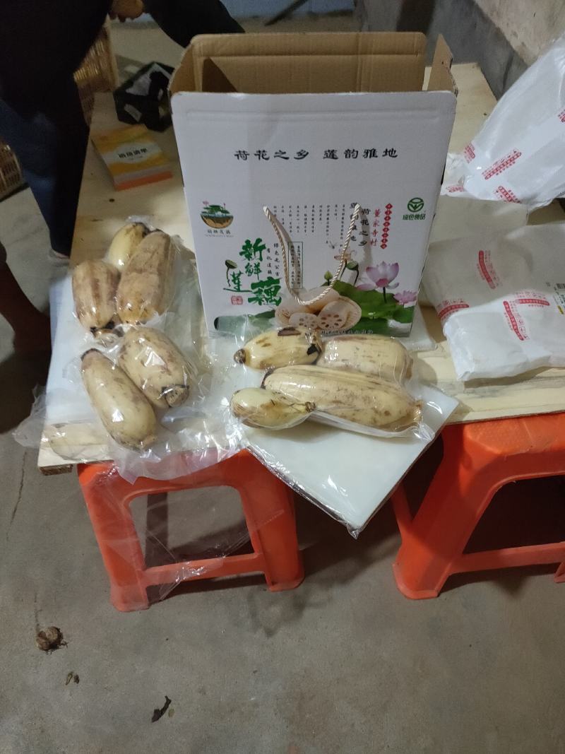 黄河滩区的沙土地，黄河水灌溉的藕特点就是大白脆，线条美观