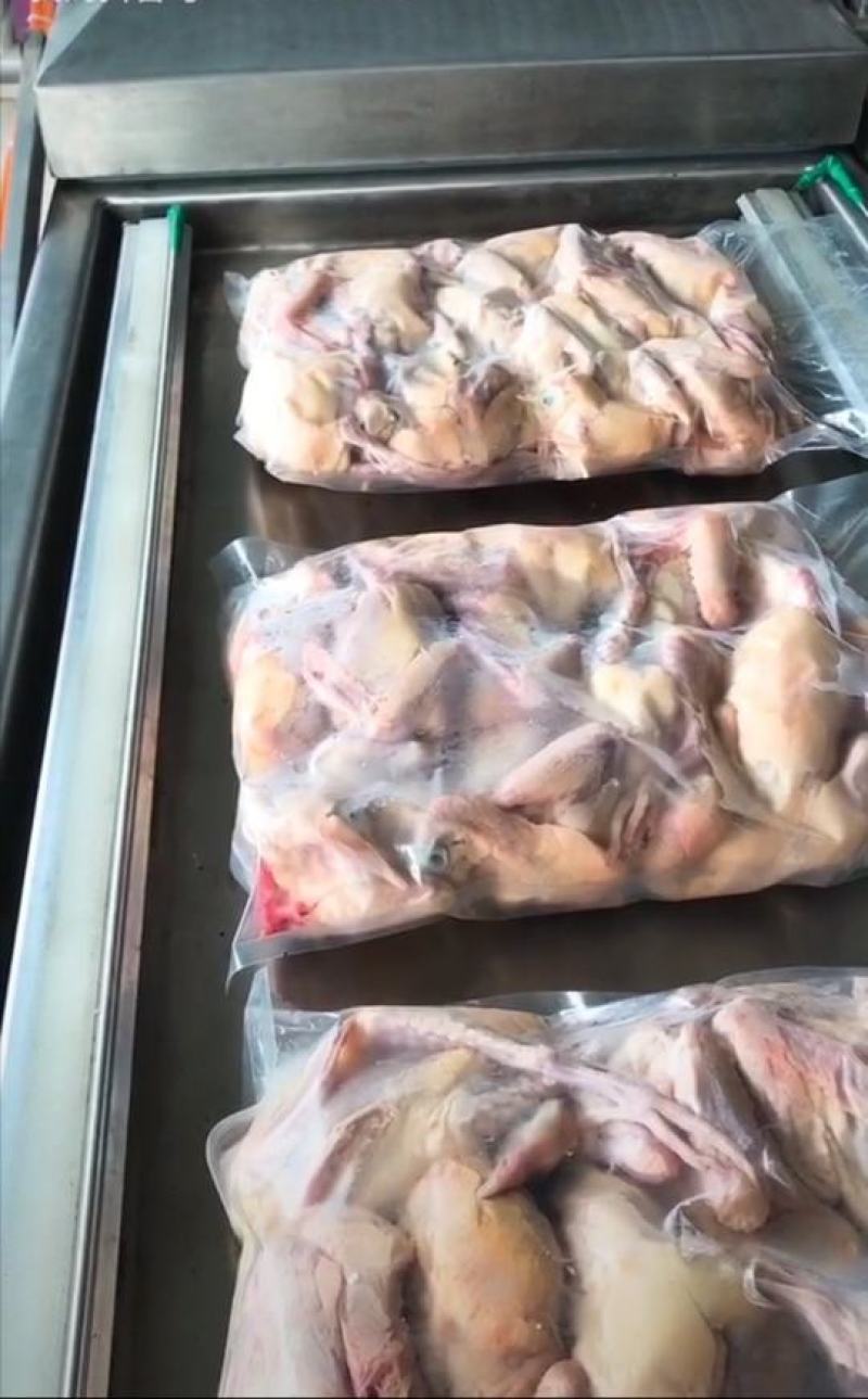 【纯原粮】冰鲜鸽现杀现卖走过路过不要错过