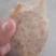 驴肉味熏制罗汉肠，纯肉肠，不含一滴水，冷冻可以！
