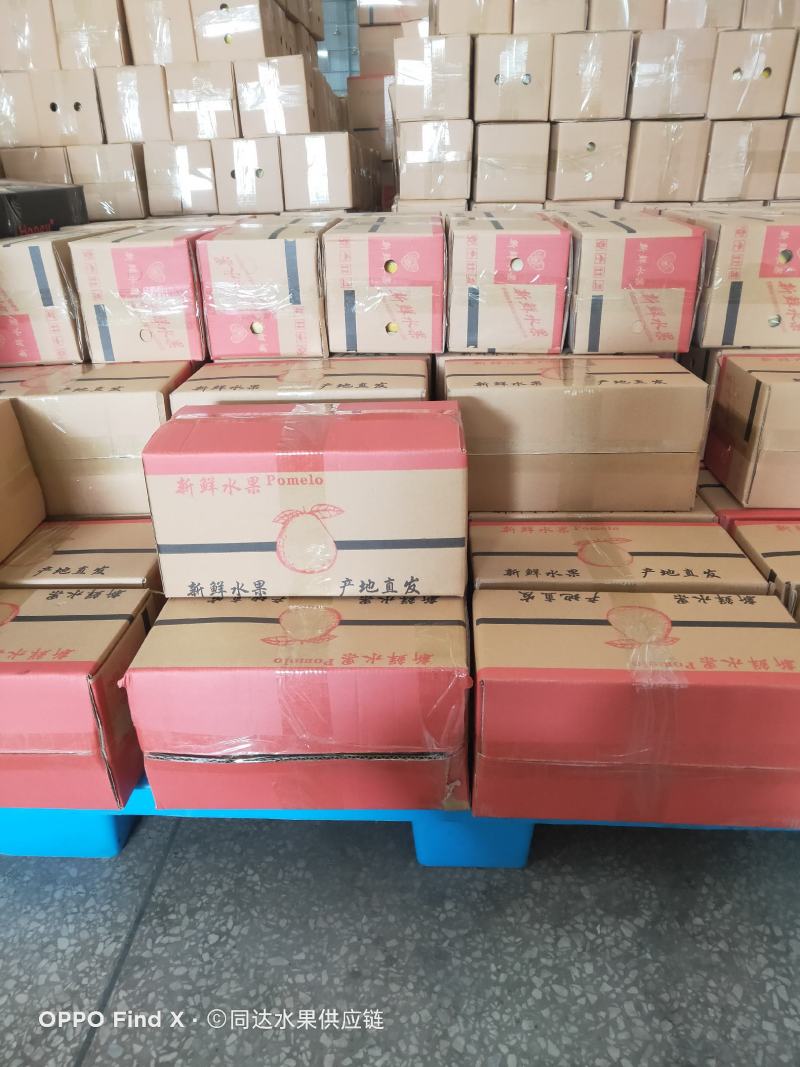 红心蜜柚，产地果厂加工代办，平台代发，大量发货