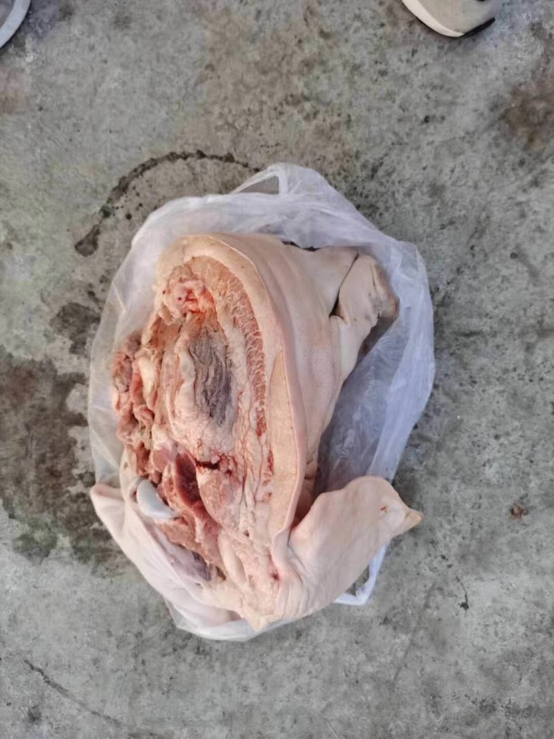 【猪头】质优价廉，手续齐全，品质保证，货源充足