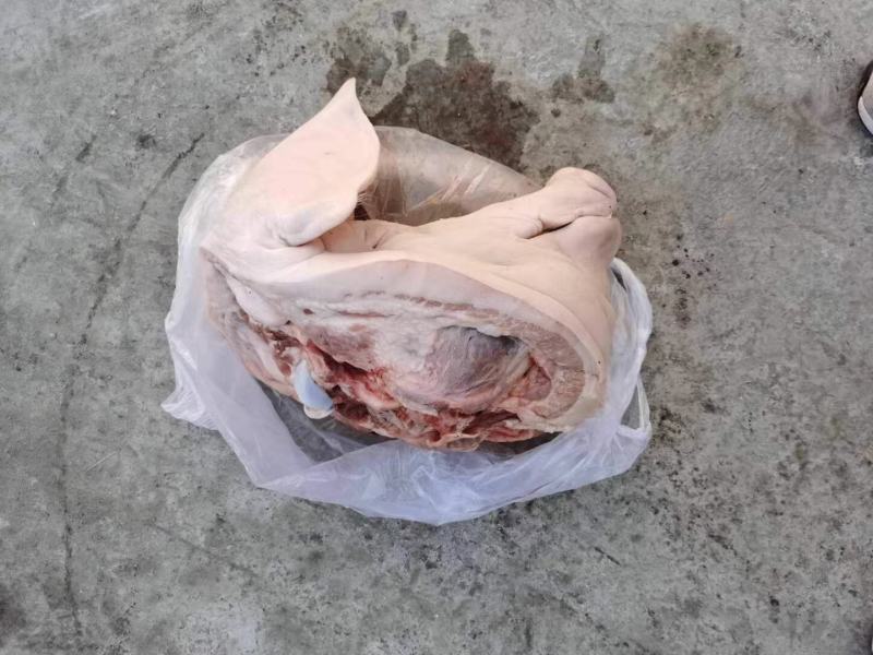 【猪头】质优价廉，手续齐全，品质保证，货源充足