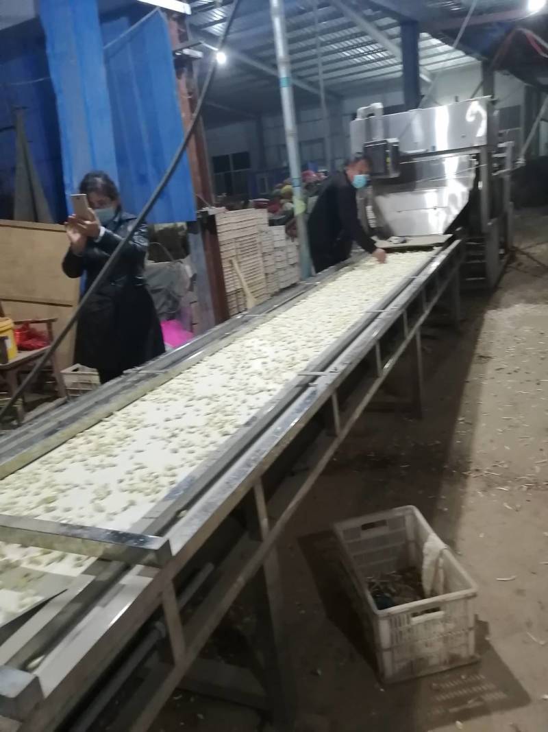 蒜米现货，新鲜净货，去皮大蒜，颗粒饱满，量大从优