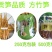 四川乐山马边深山纯野生石竹笋干