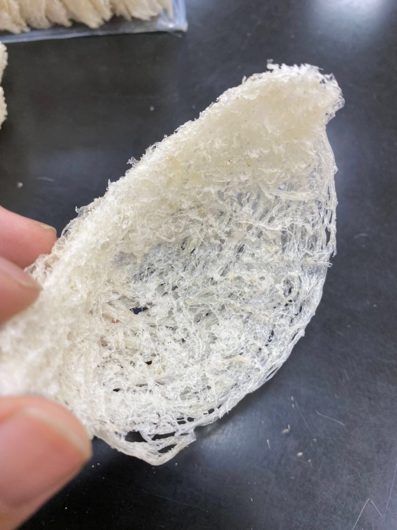 燕窝舒展密盏燕碎马来西亚燕窝干盏一首货源批发零售