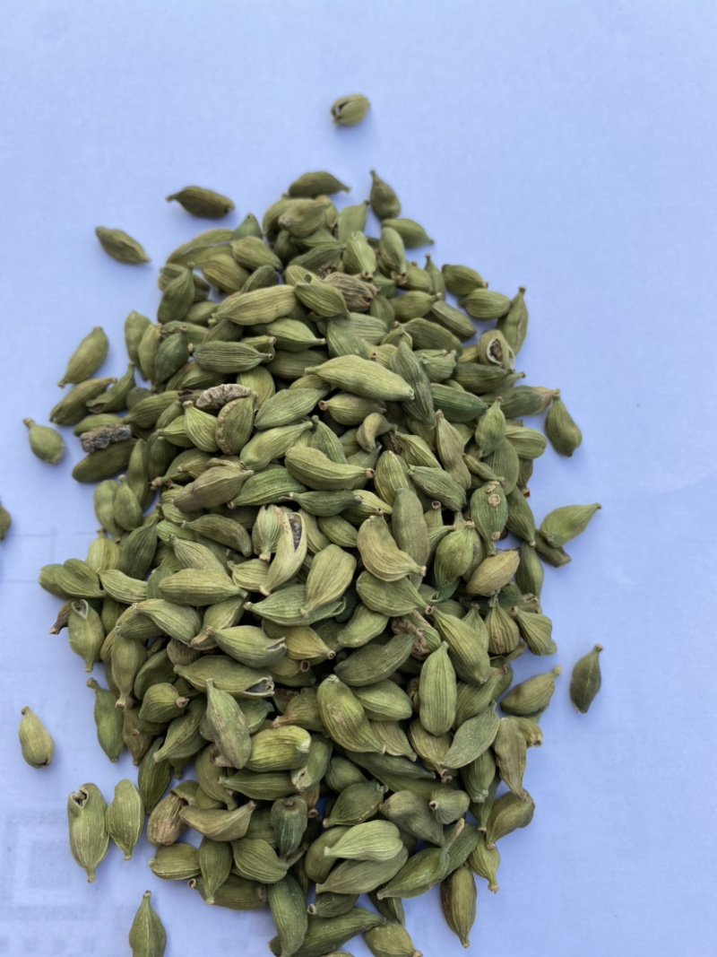 绿豆蔻进口小豆蔻绿