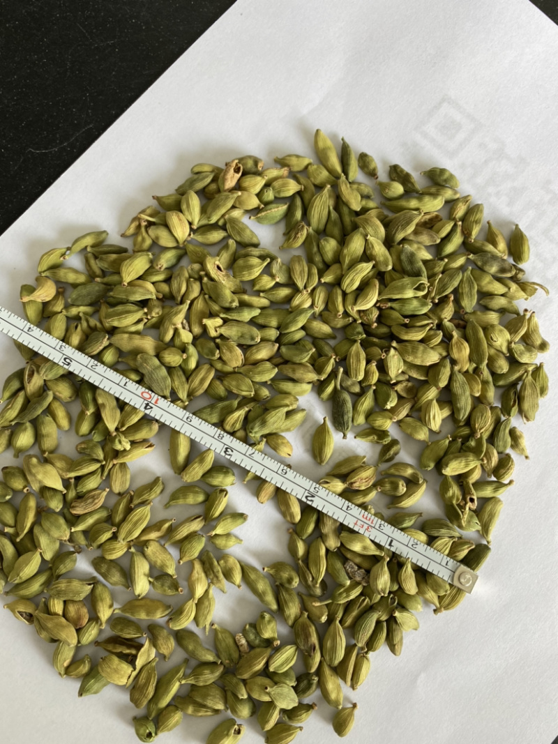绿豆蔻进口小豆蔻绿