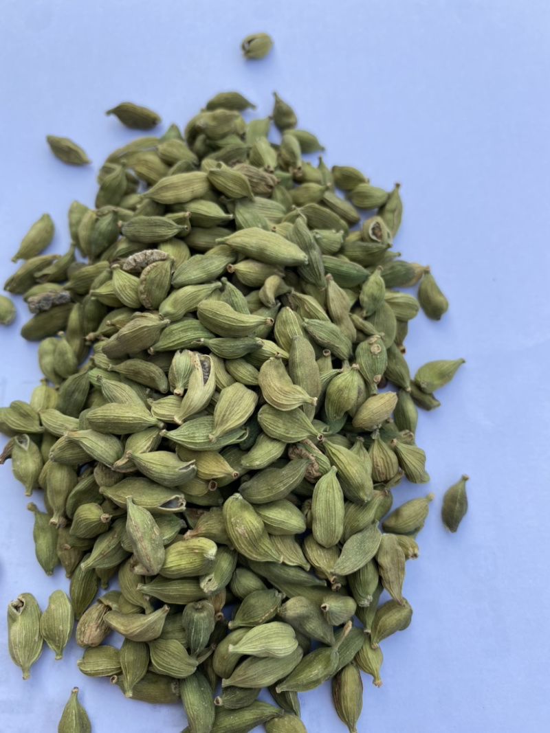 绿豆蔻进口小豆蔻绿