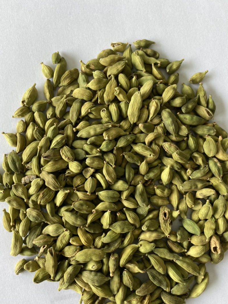 绿豆蔻进口小豆蔻绿