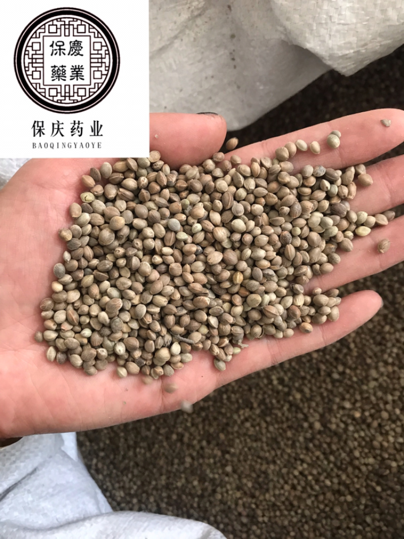 去壳火麻仁火麻仁脱壳火麻仁带壳火麻仁火麻仁