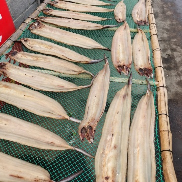 鳗鱼干整条咸鱼干小鱼干淡干鱼低盐淡鳗鱼干鱼海鲜鱼干干货鱼