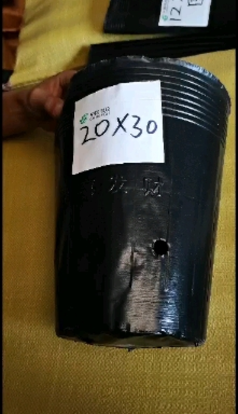 营养钵育苗杯柑橘杯育苗杯营养钵加厚育苗杯一次性的树苗