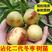 沾化冬枣树苗、产量高抗病毒性强、适应能力强、基地起苗