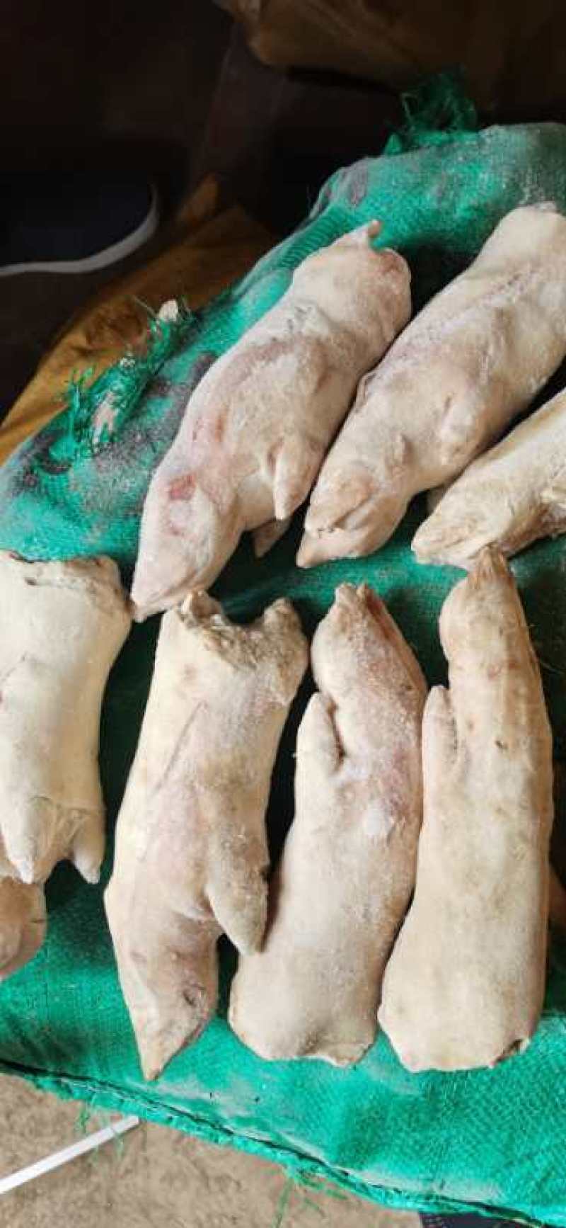 猪脚尖，猪蹄