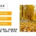 金叶银杏树白果树小苗大树庭院观赏绿化行道苗拆迁占地南北
