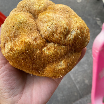 长白山特级精品猴头菇