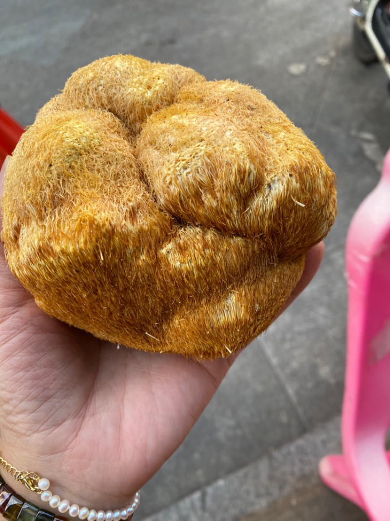 长白山特级精品猴头菇
