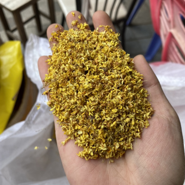 特级无硫广西超香干桂花