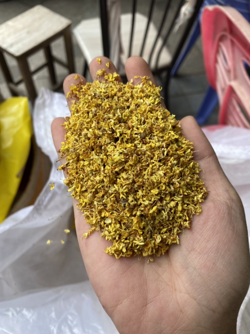 特级无硫广西超香干桂花