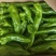 【热卖】精品泡椒301,货源充足,对接各大商超欢迎咨询