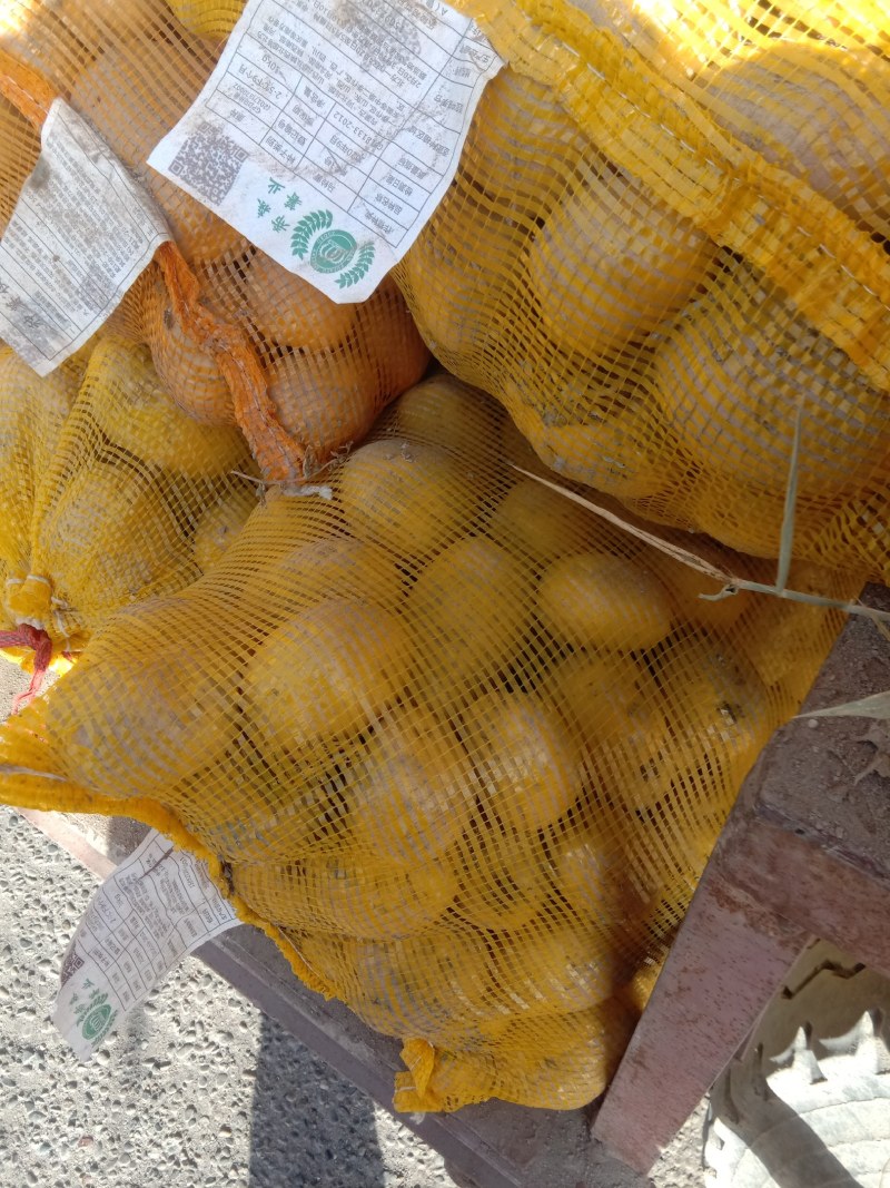新疆阿克苏实验一号土豆大小都有全国接单耐运输提供包装视频看货
