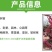 红梅树苗原生红梅树苗适合工程庭院地栽盆栽树桩盆景当年开花