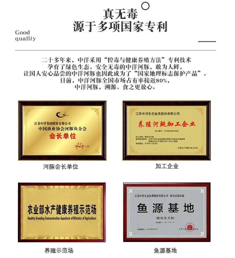 江苏海安河豚活鱼批发兼零售可承接餐饮老板和电商