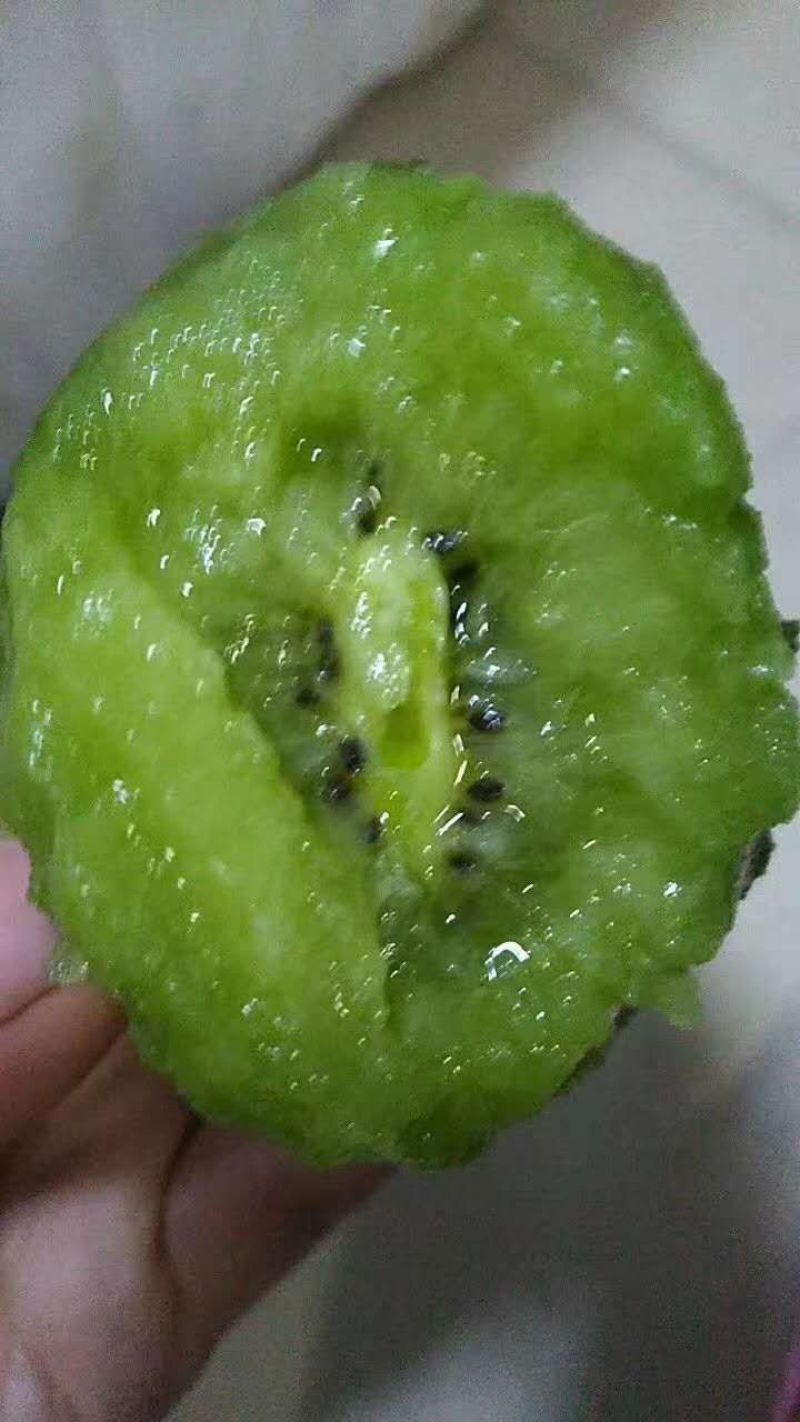 冰糖味丑猕嫁接苗绿心，猕猴桃糖度最高二十多度。现在涨价了