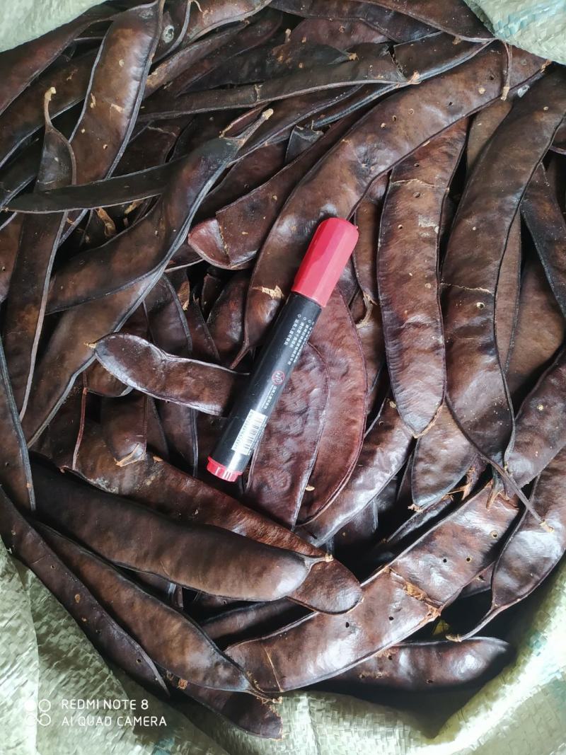 贵州铜仁大皂角片干货皂荚干品洗头洗澡洗脚去屑止痒护发润肤