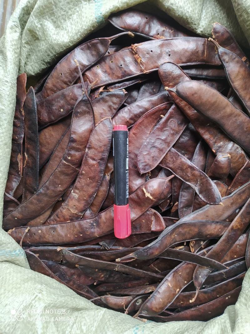 贵州铜仁大皂角片干货皂荚干品洗头洗澡洗脚去屑止痒护发润肤