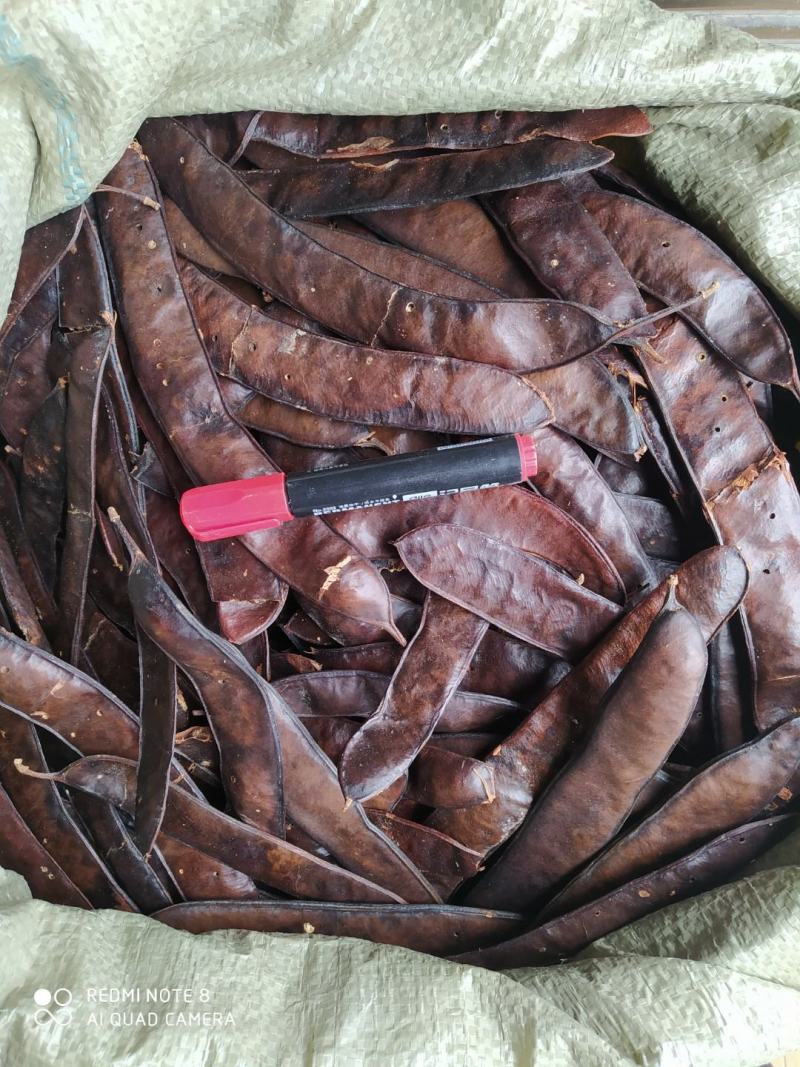 贵州铜仁大皂角片干货皂荚干品洗头洗澡洗脚去屑止痒护发润肤